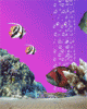 anim176220mobildesign.atw.hu_0204.gif